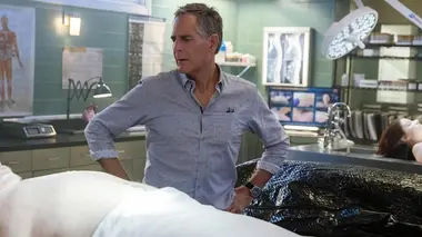 NCIS : Nouvelle-Orléans S05E13 Virus X