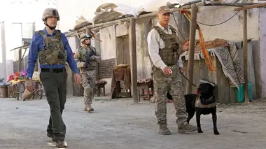 NCIS S12E01 20 km à l'ouest