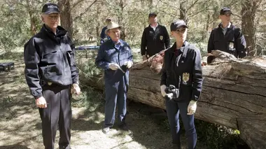 NCIS S13E07 Elémentaire mon cher