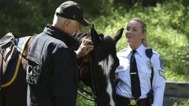 NCIS S14E22 A l'état sauvage