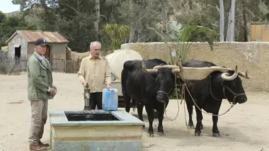 NCIS S14E24 Un pour tous...