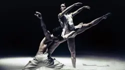 NDT 1 : Savoir faire : Stop-motion / The Statement