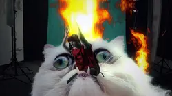 Ne cliquez pas Brute Force