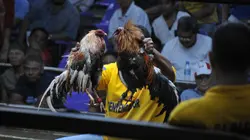 Ne dites pas à ma mère E14 Que je suis à Manille