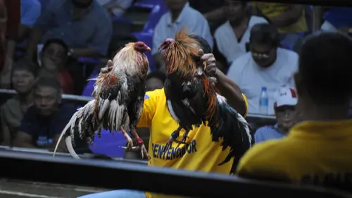 Ne dites pas à ma mère E14 Que je suis à Manille