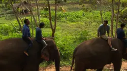 Ne dites pas à ma mère Que je suis en Thaïlande