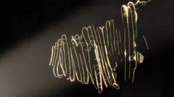 Néandertal, premier artiste de l'humanité ?