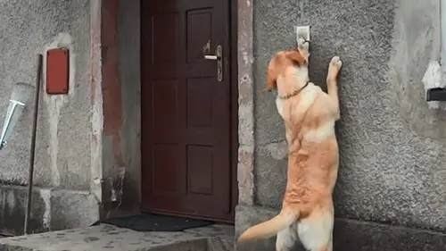 Neighborhood Wars Connais tes voisins