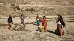 Népal, la voix des femmes