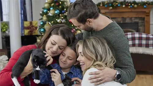 Neuf chatons pour Noël