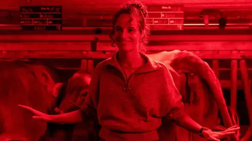 Neumatt S03E04 La voie du succès en streaming