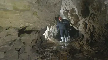 A la découverte des Maoris