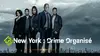 New York : crime organisé S03E14 Amertume (2023)