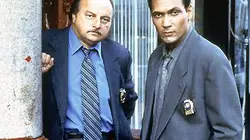 Visuel de New York Police Blues