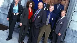 Visuel de New York Police Blues