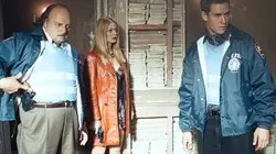 Visuel de New York Police Blues