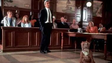 New York police judiciaire S12E01 Qui a lâché les chiens ?