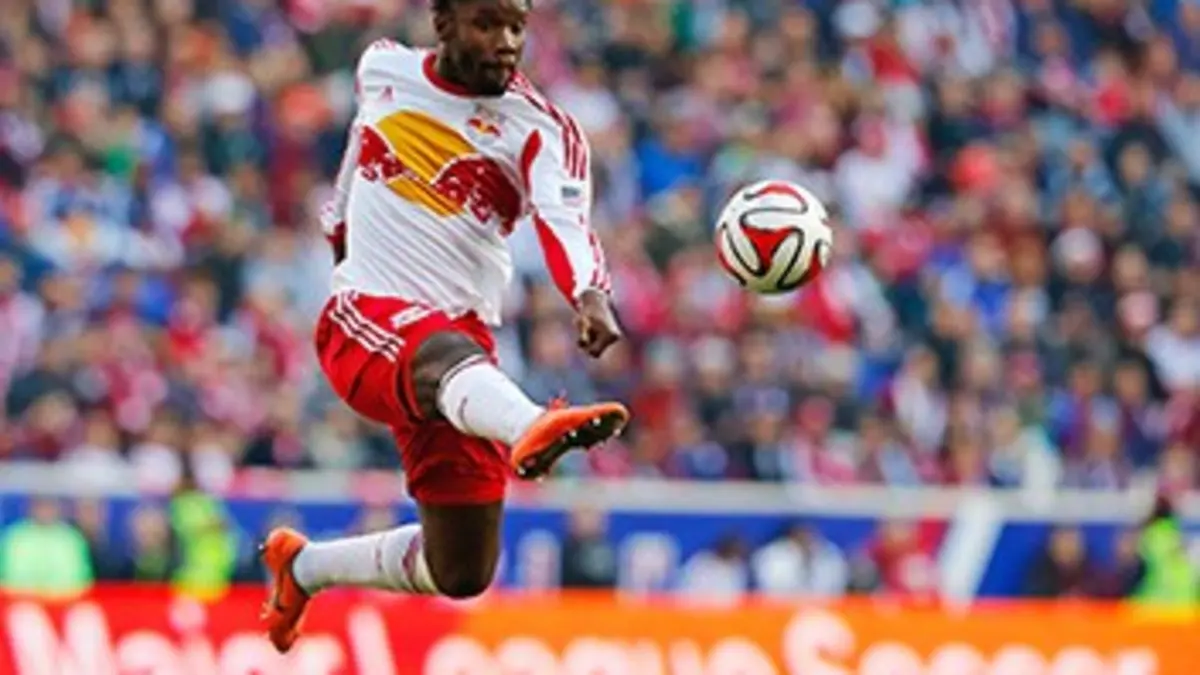 New York Red Bulls / DC United Football Major League Soccer 2015