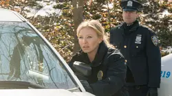 New York Unité Spéciale S19E20 Le livre d'Esther en streaming