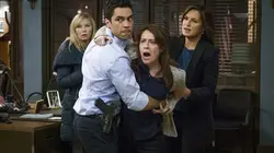 Visuel de New York Unité Spéciale