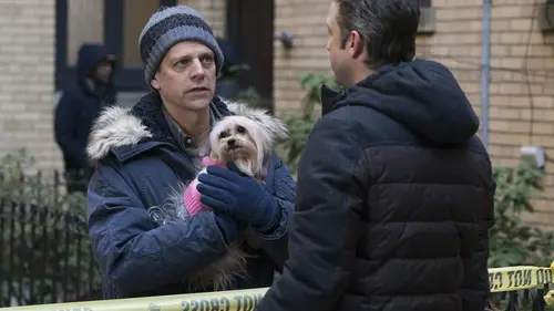 New York Unité Spéciale S17E12 La cerise sur le gâteau