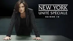 New York Unité Spéciale S17E21 Triste réalité