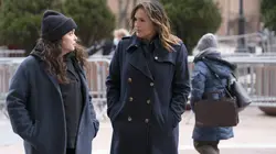 New York Unité Spéciale S22E07 Manhattan-Le Bronx