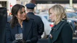 New York Unité Spéciale S17E19 Le profil idéal en streaming