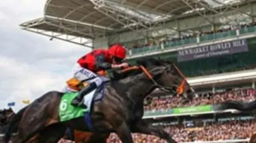 Newmarket, la ville du pur-sang