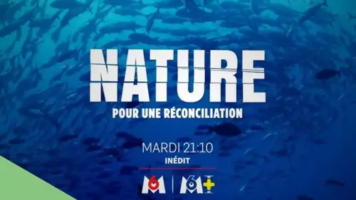 Nature, pour une réconciliation : documentaire de Yann Arthus-Bertrand sur M6
