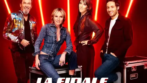 Programme TV : que regarder à la TV ce soir samedi 3 mai ? (vidéo)