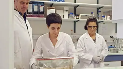 À LA TÉLÉ CE SOIR : Enquêtes sur le cholestérol et les marchés publics, «Tango et Cash» sur C8, «Heat» sur NRJ12…