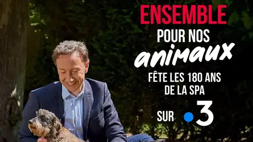 Ensemble pour nos animaux fête les 180 ans de la SPA sur France 3 ce mercredi 4 juin