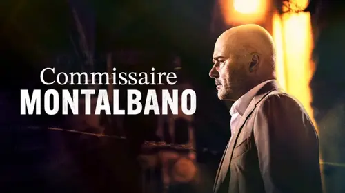 Programme TV : que regarder à la TV ce soir dimanche 17 août ? (vidéo)