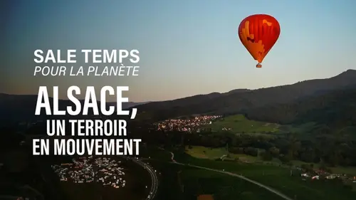 Sale Temps pour la planète : l’Alsace, exemple d’adaptation au réchauffement climatique