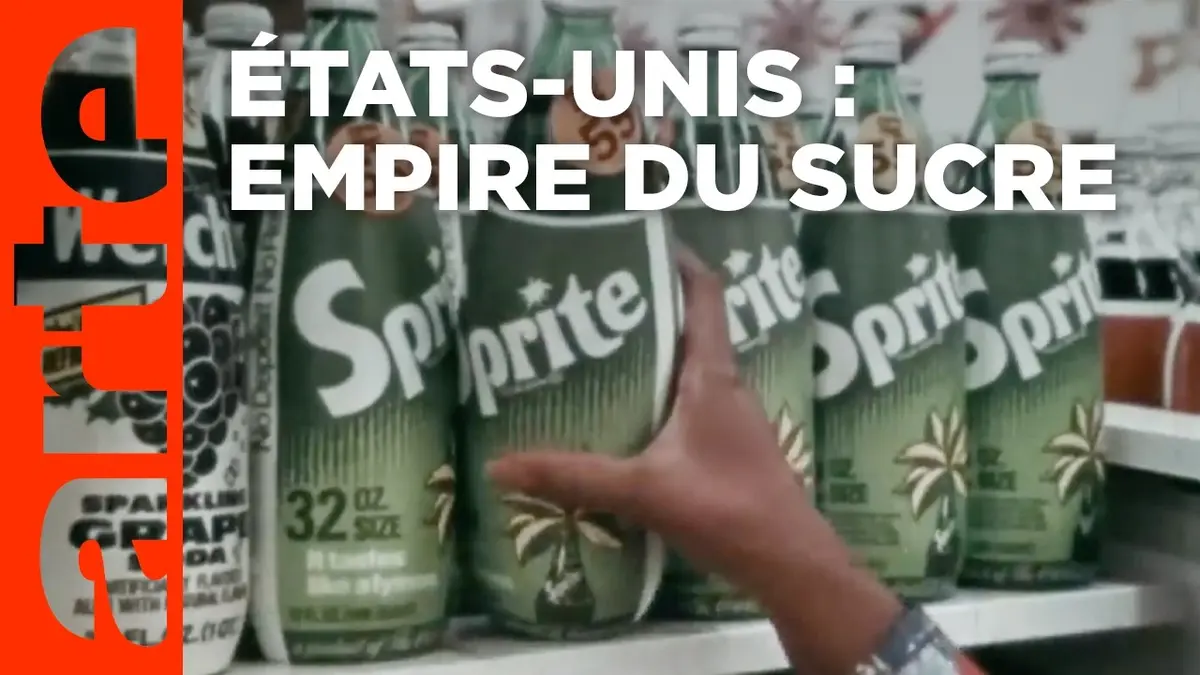 Le sucre, pour la douceur et pour le pire : le documentaire d’Arte qui révèle l’envers du sucre