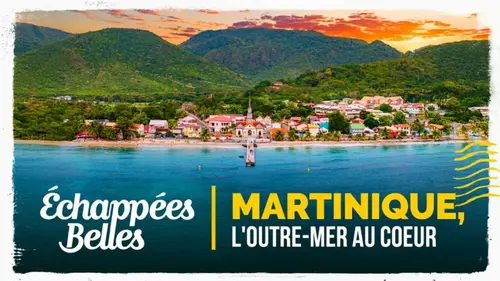 Échappées belles en Martinique : Brice-Laurent Dubois nous fait voyager au cœur de l’île aux fleurs