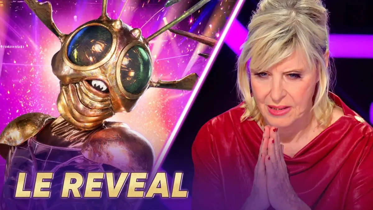 Mask Singer (TF1) : qui se cachait sous le costume du Scarabée ?