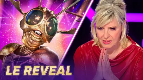 Mask Singer (TF1) : qui se cachait sous le costume du Scarabée ?