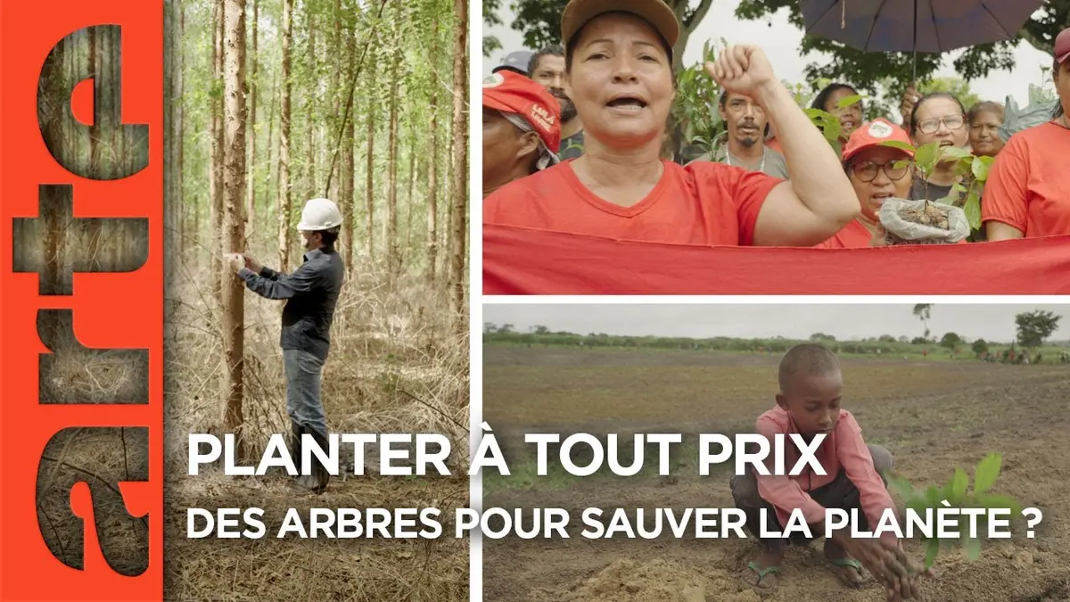 Planter à tout prix : Des arbres pour sauver la planète ? (documentaire Arte)