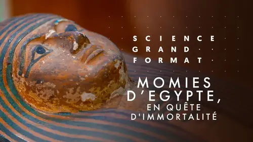 Momies d'Egypte, en quête d'immortalité : documentaire France 5 sur les mystères de la momification égyptienne