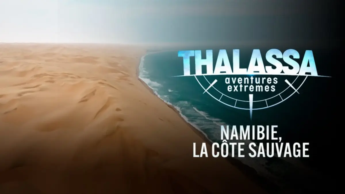 Thalassa : Namibie, la côte sauvage. Diego Buñuel explore l’Afrique australe sur France 5