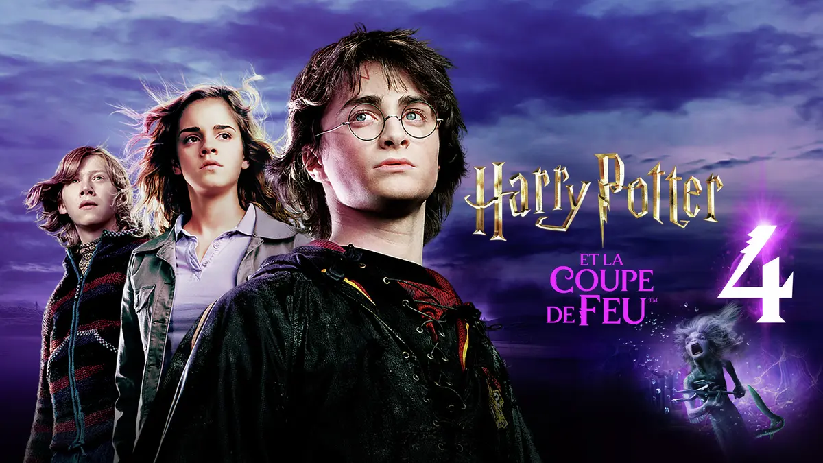 Programme TV : que regarder à la TV ce soir mardi 11 novembre ? (vidéo)