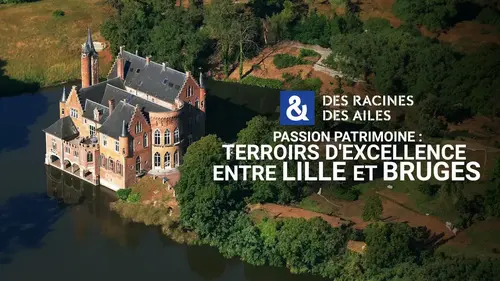 Des racines et des ailes : immersion dans les trésors des Flandres françaises et belges