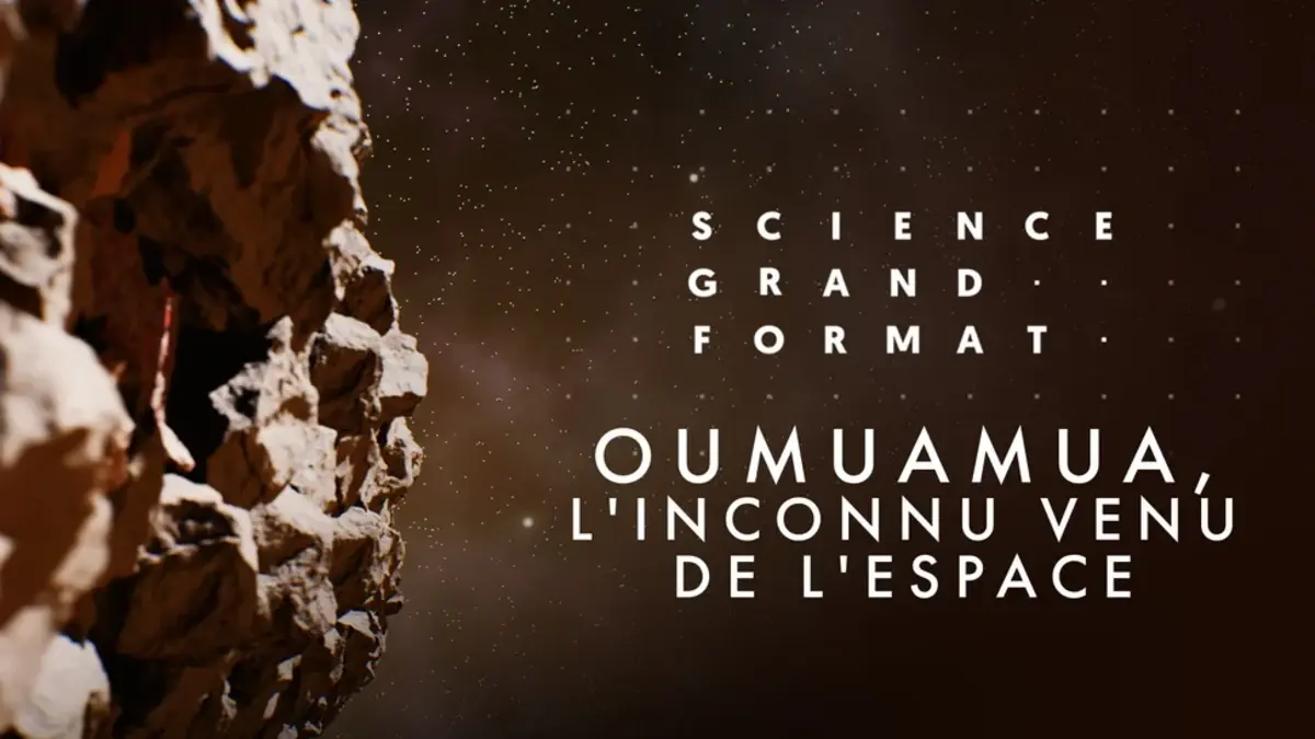 Oumuamua : théories, controverses et nouvelles pistes pour percer le mystère (France 5)