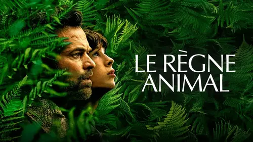 Programme TV : que regarder à la TV le dimanche 7 décembre 2025 ? (vidéo)