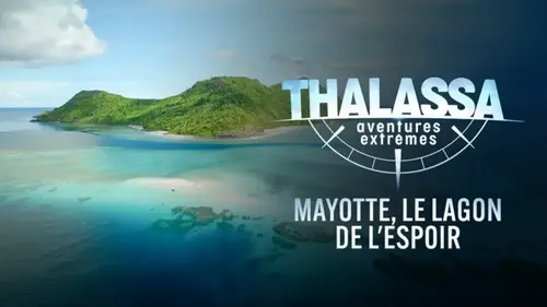 Thalassa sur France 5 : un an après le cyclone Chido, Mayotte face au défi de la reconstruction