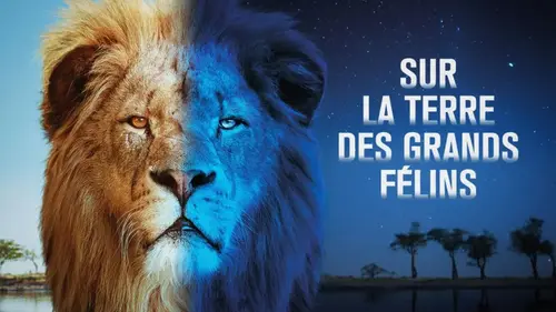 Sur la terre des grands félins : immersion unique dans le delta de l’Okavango (France 5)