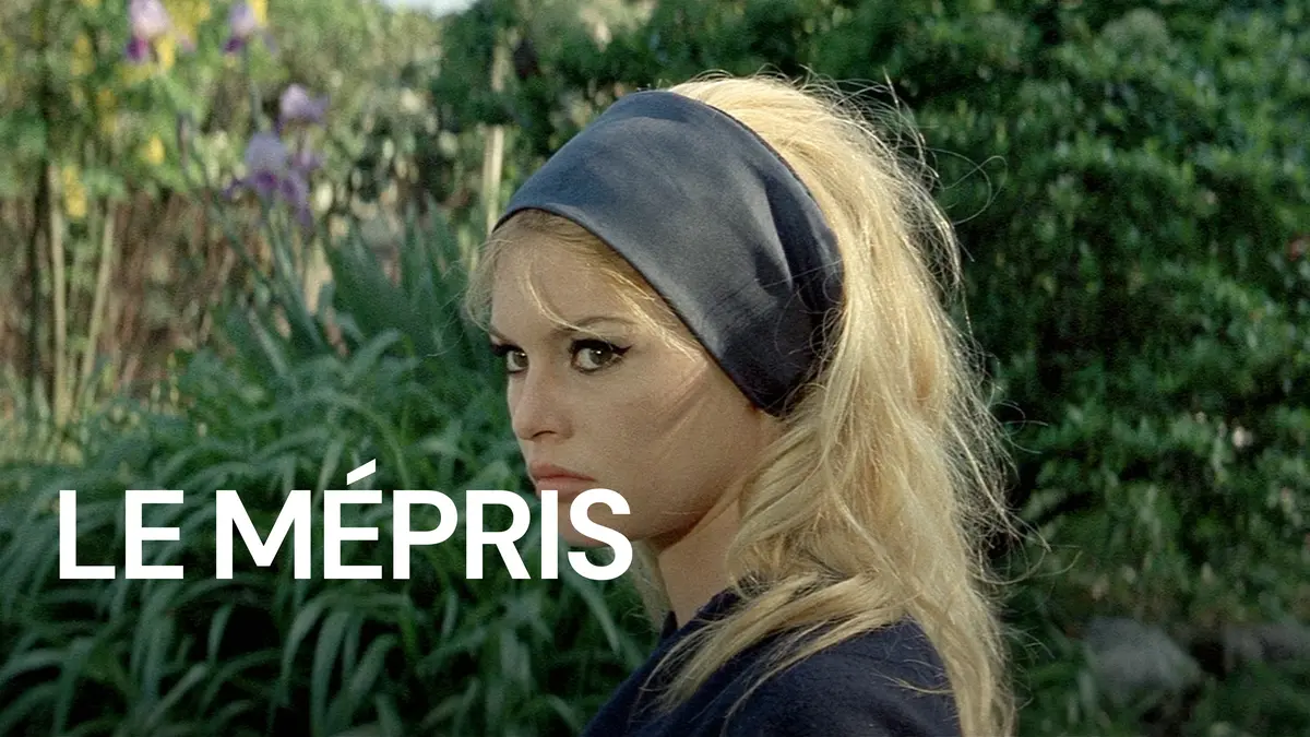 Programme TV : que regarder à la TV ce soir, dimanche 28 décembre ? (vidéo)