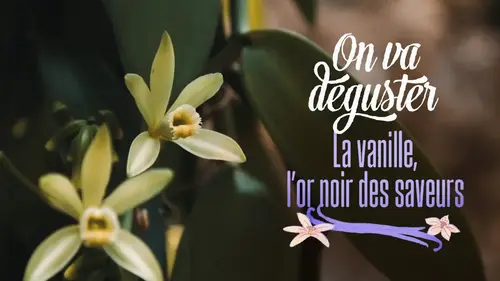 On va déguster explore la vanille, trésor discret de nos desserts